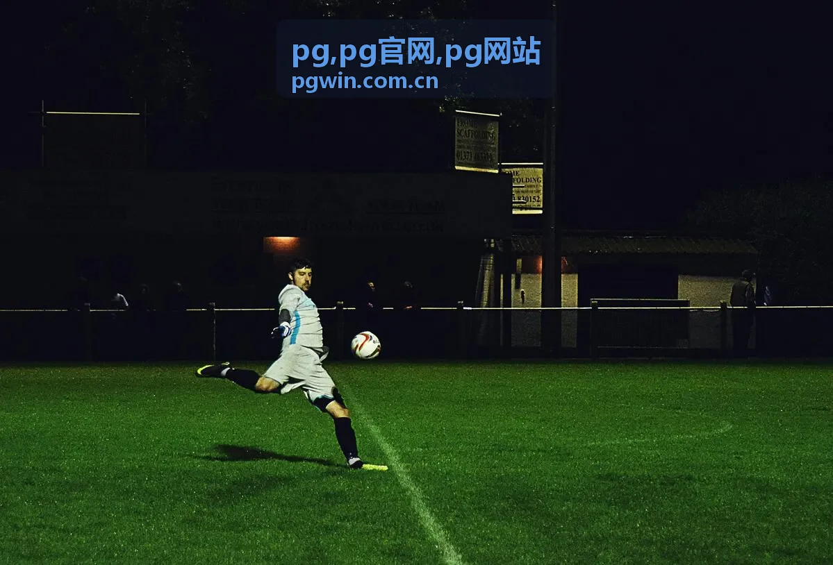 PG 数据整合场景示意图