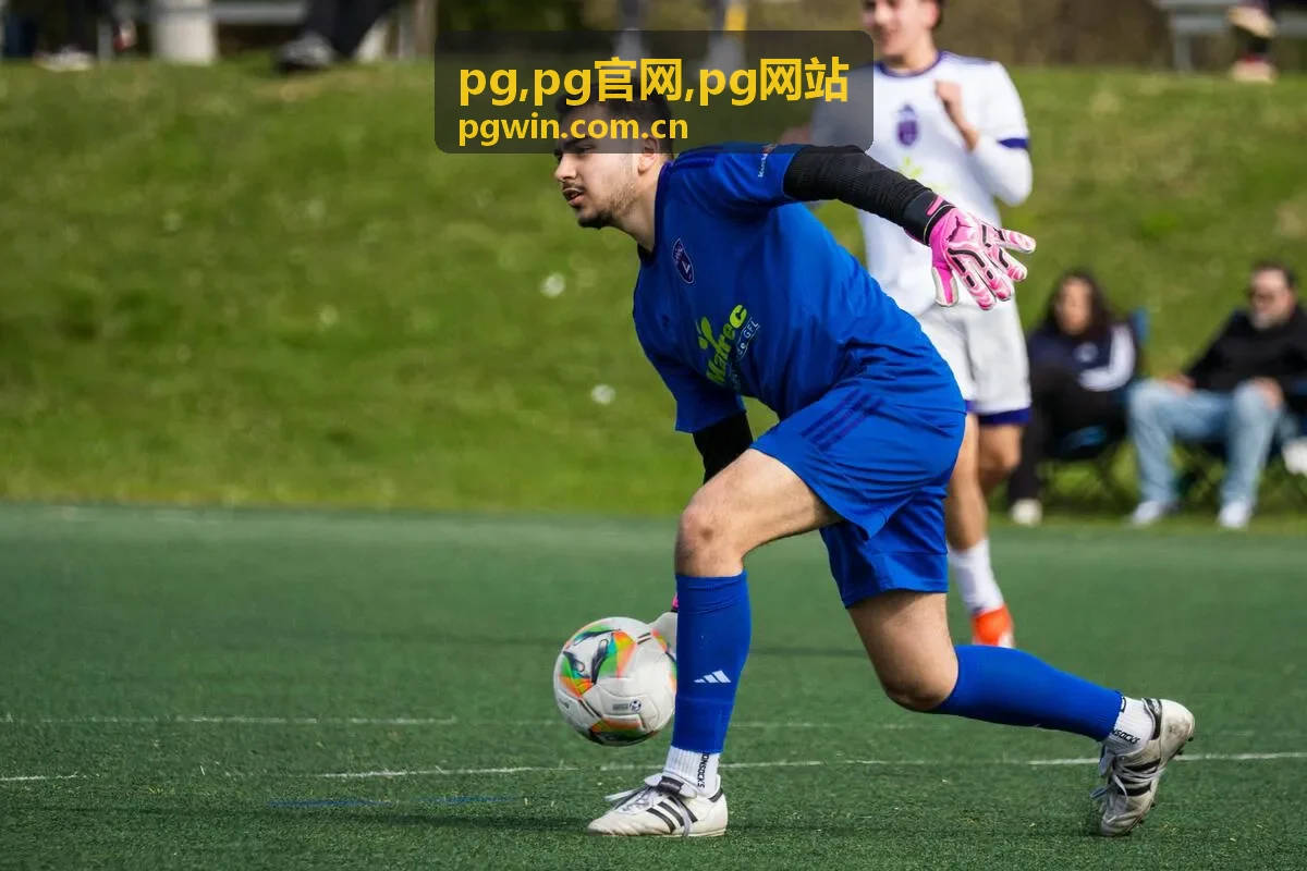 PG 流程自动化场景示意图